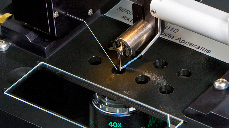 803B: Permeabilized Myocyte Apparatus – Microscope Mountable