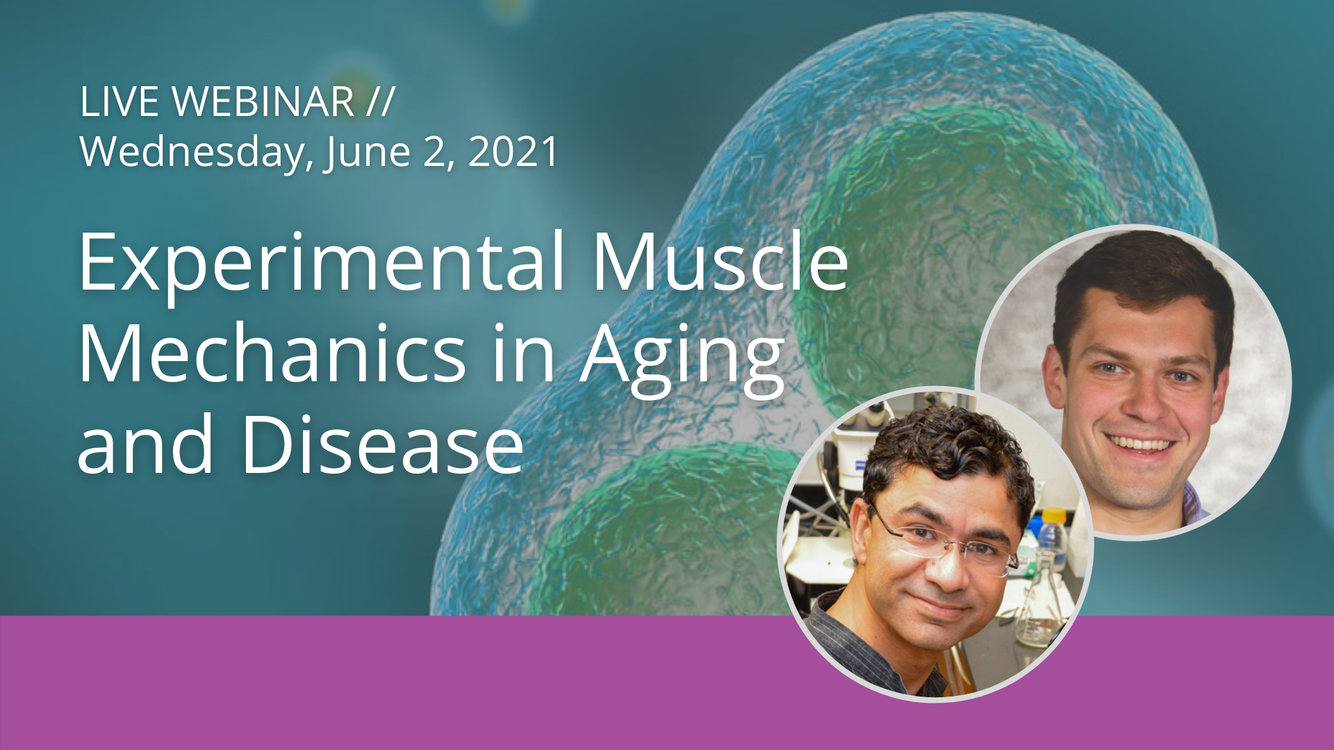 Webinar: Experimental Muscle Mechanics in Aging and Disease