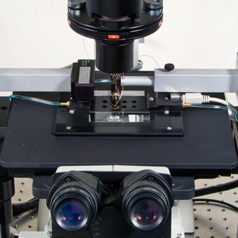 803B direct mounting on inverted microscope