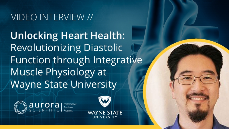Unlocking Heart Health - Revolutionizing Diastolic Function through Integrative Muscle Physiology at Wayne State University