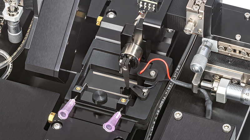 801C: Small Intact Muscle Apparatus – Microscope Mountable