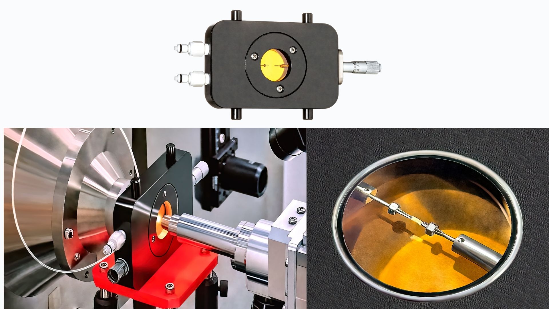 Jan 15_Yarger et al. Structural dynamics and neural representation of wing deformation