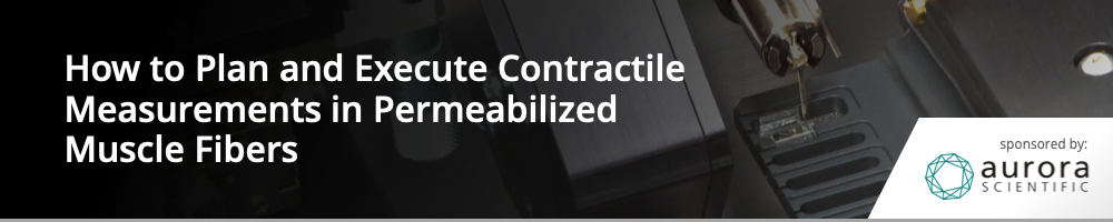 How to Plan and Execute Contractile Measurements in Permeabilized Muscle Fibers