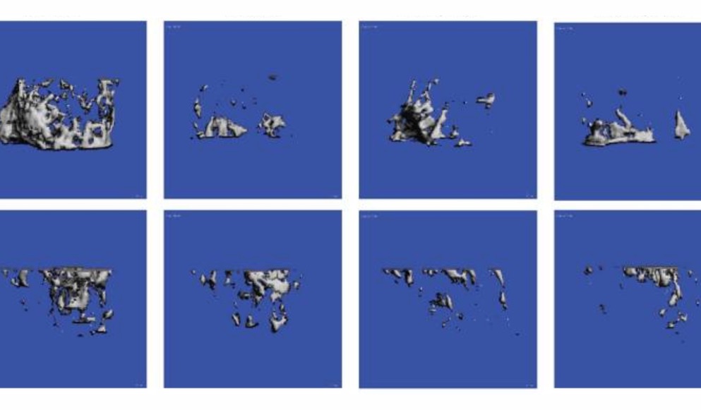 Case Studies in the assessment of skeletal muscle function in rodent models of cancer cachexia