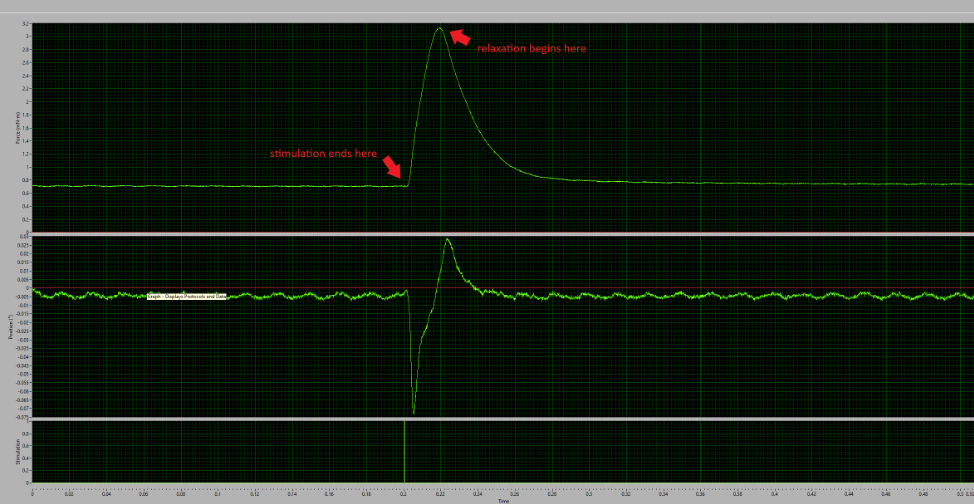 Figure 2: Typical Twitch Contraction