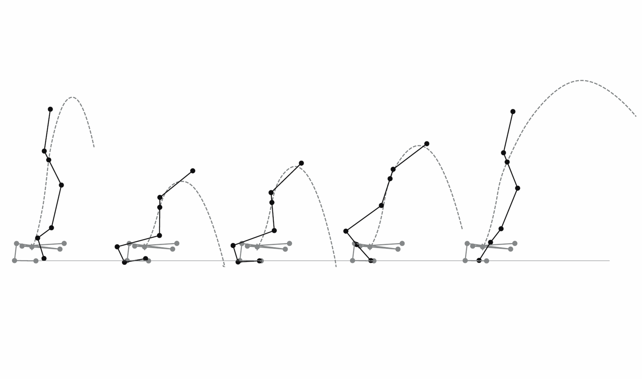 Advancements in Musculoskeletal Simulations for In Vitro Muscle Physiology Research